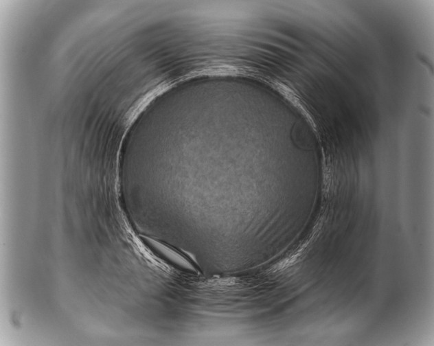 X0000100400845200806201734