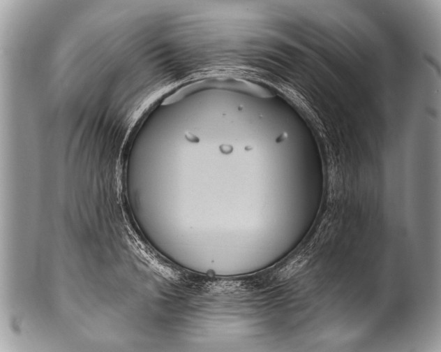 X0000100400846200806201734