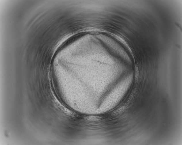 X0000100400847200806201734