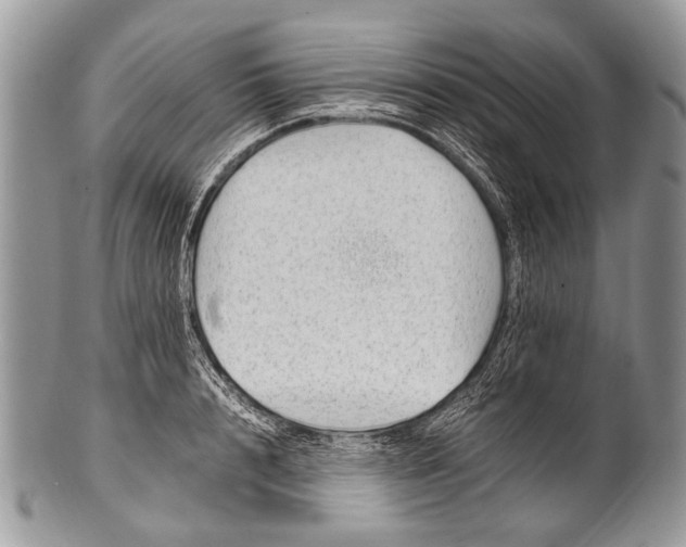 X0000100400848200806201734