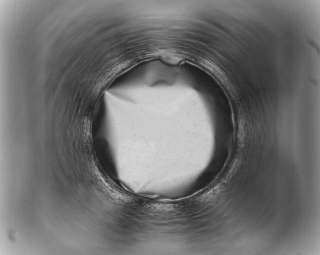 X0000100400849200806201734