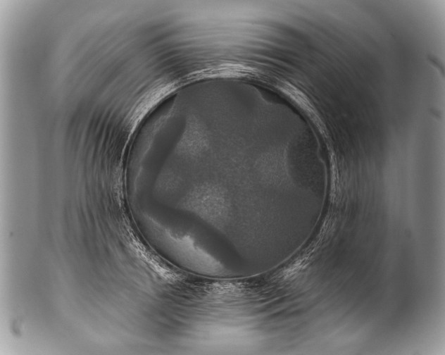 X0000100400850200806201734