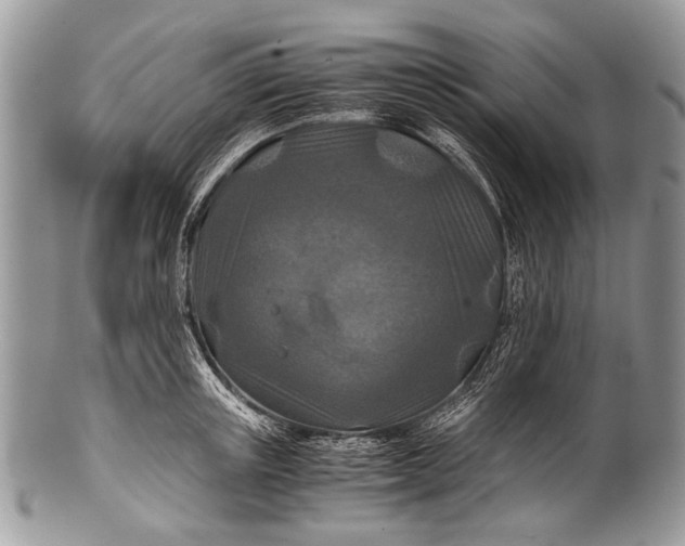 X0000100400851200806201734