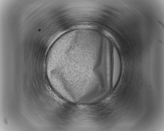 X0000100400852200806201734