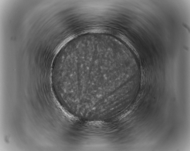 X0000100400853200806201734
