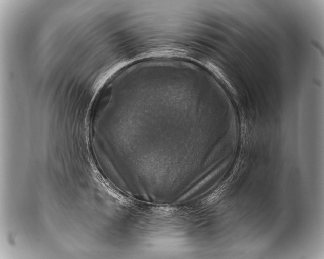 X0000100400854200806201734