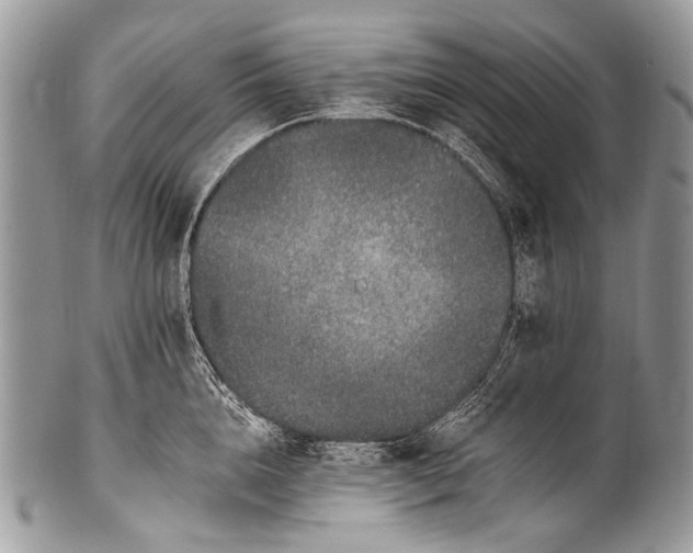 X0000100400856200806201734