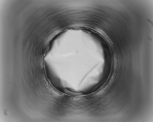 X0000100400857200806201734