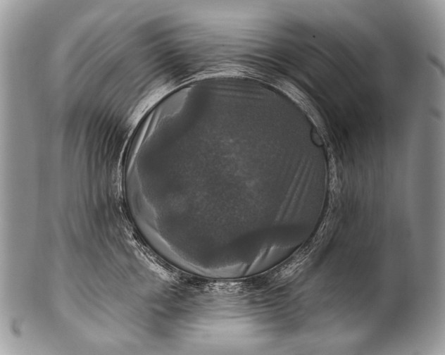 X0000100400858200806201734
