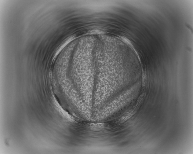 X0000100400859200806201734