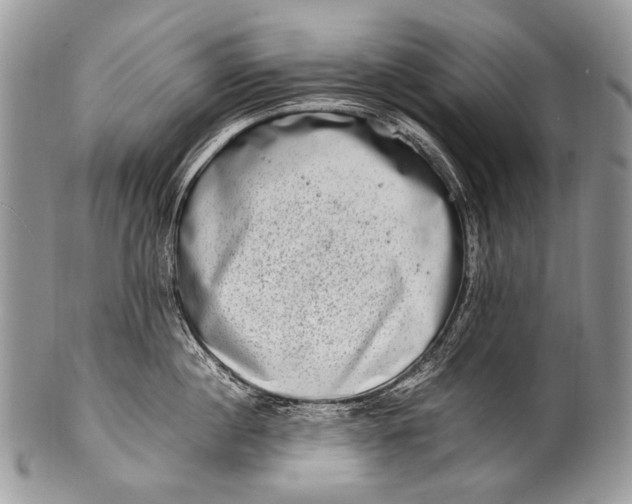 X0000100400860200806201734