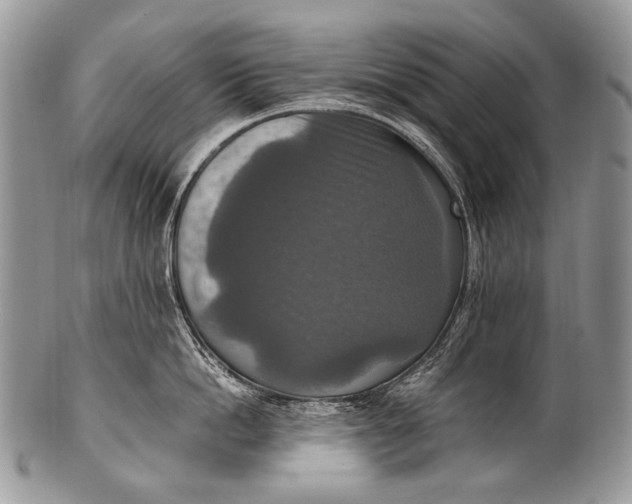 X0000100400862200806201734