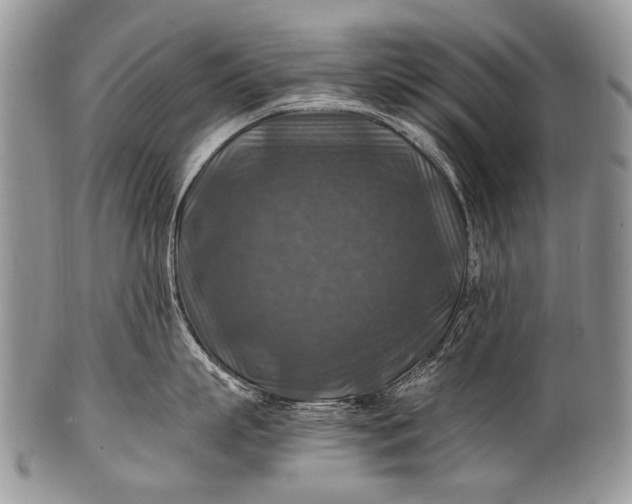 X0000100400863200806201734