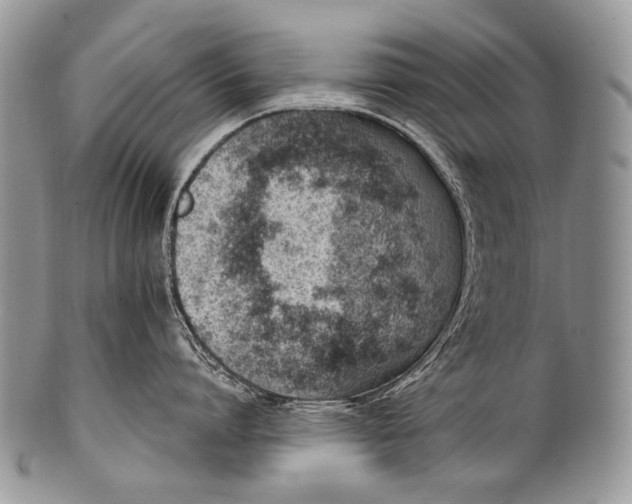 X0000100400864200806201735
