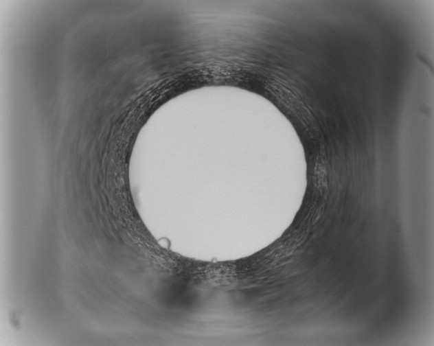 X0000100400865200806201734