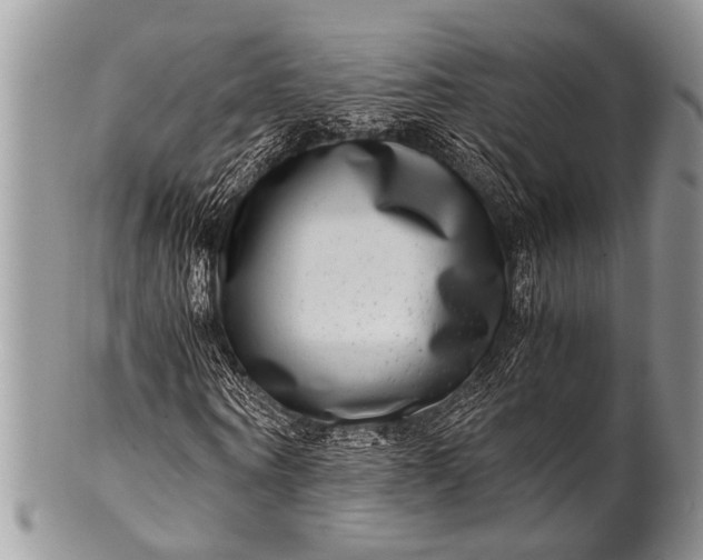 X0000100400866200806201734