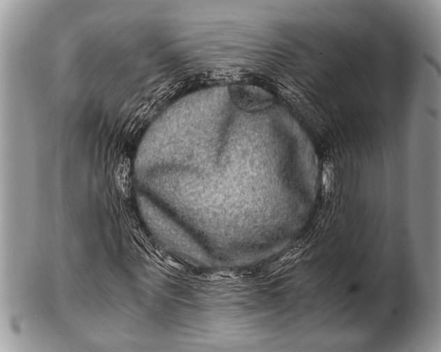 X0000100400867200806201734