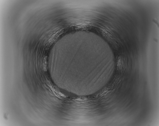 X0000100400868200806201734