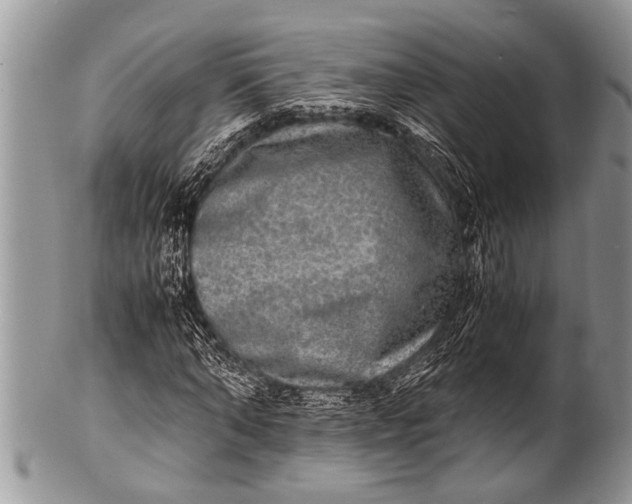 X0000100400870200806201734