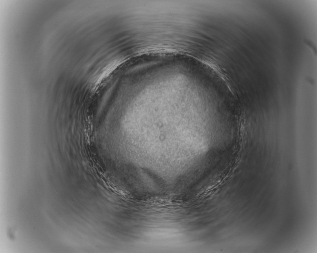 X0000100400871200806201734