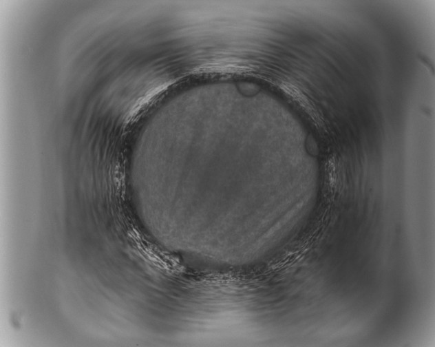 X0000100400872200806201734