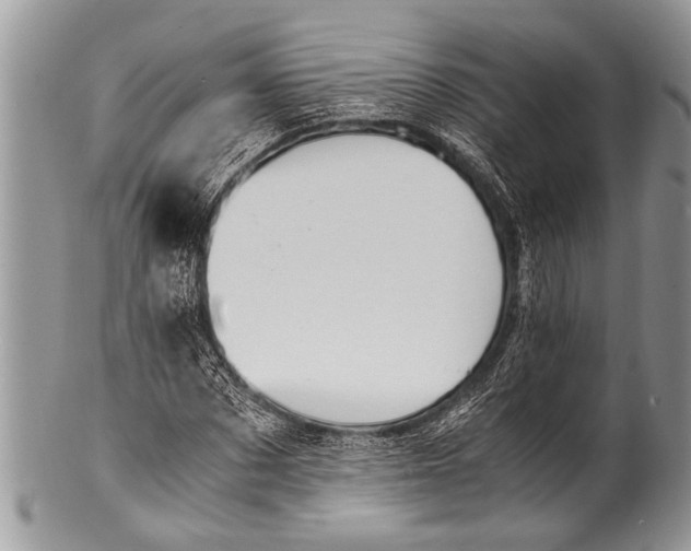 X0000100400873200806201734