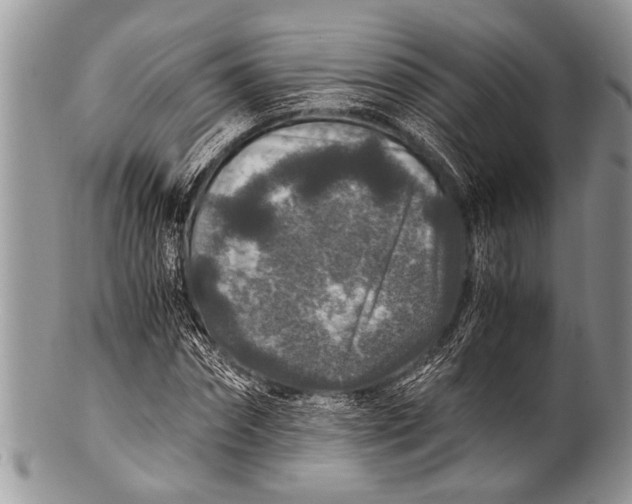 X0000100400874200806201734