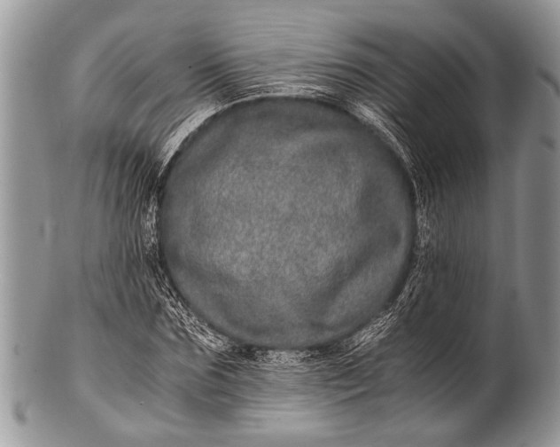 X0000100400875200806201734