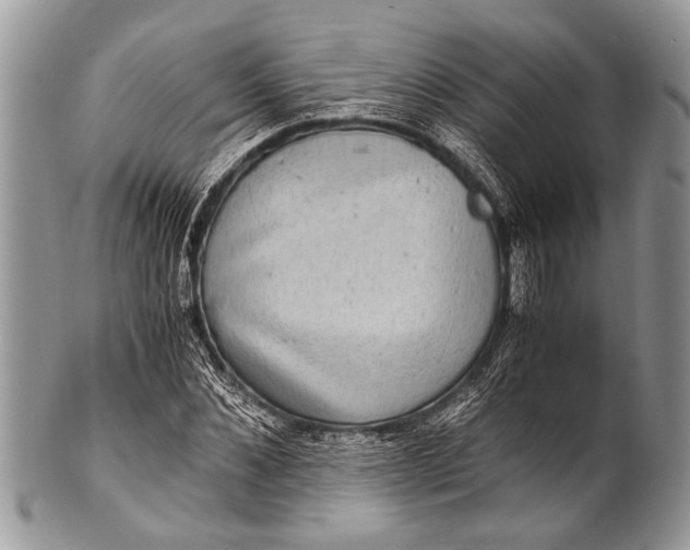 X0000100400876200806201734