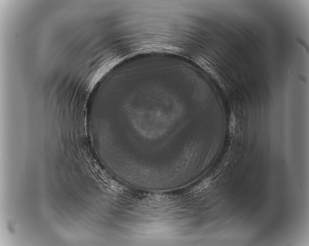 X0000100400877200806201734