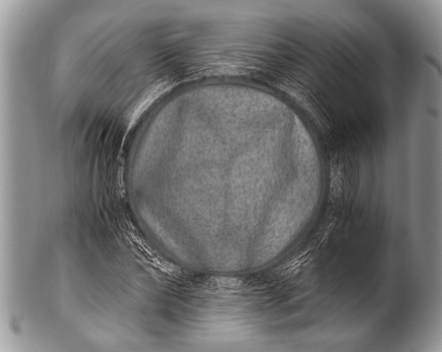 X0000100400878200806201733