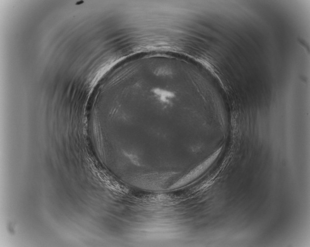 X0000100400879200806201733