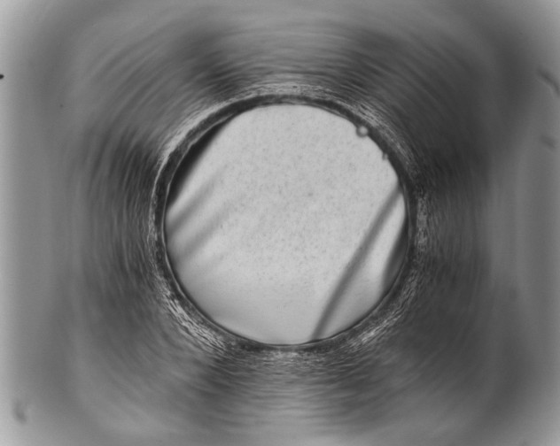 X0000100400880200806201733