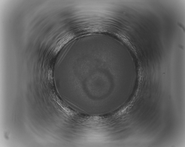 X0000100400881200806201733