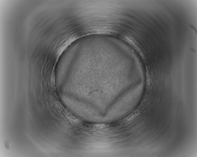 X0000100400883200806201733