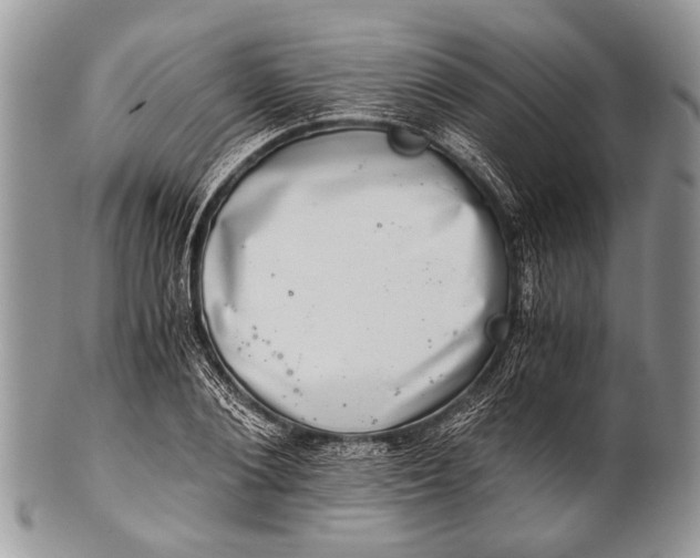X0000100400884200806201733