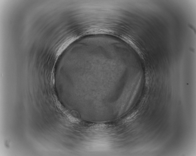 X0000100400885200806201733