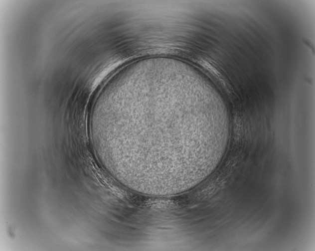 X0000100400886200806201733