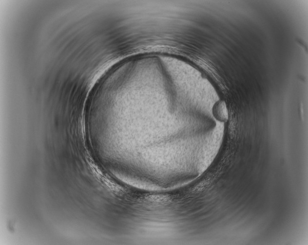 X0000100400888200806201733