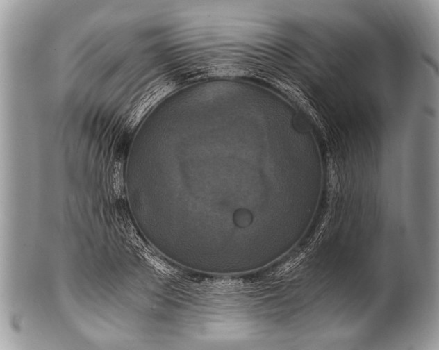 X0000100400889200806201733
