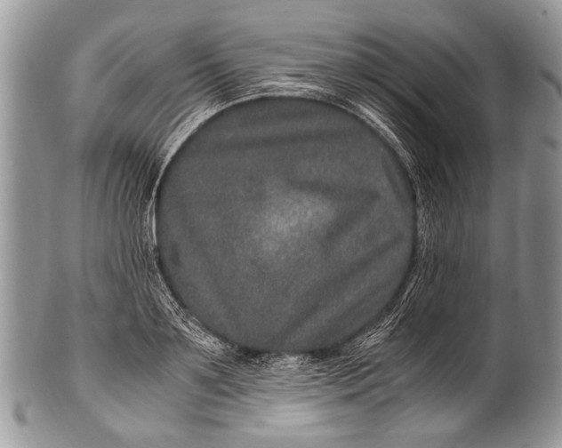 X0000100400891200806201733