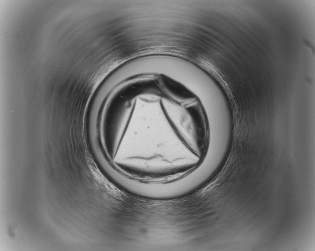 X0000100400892200806201733