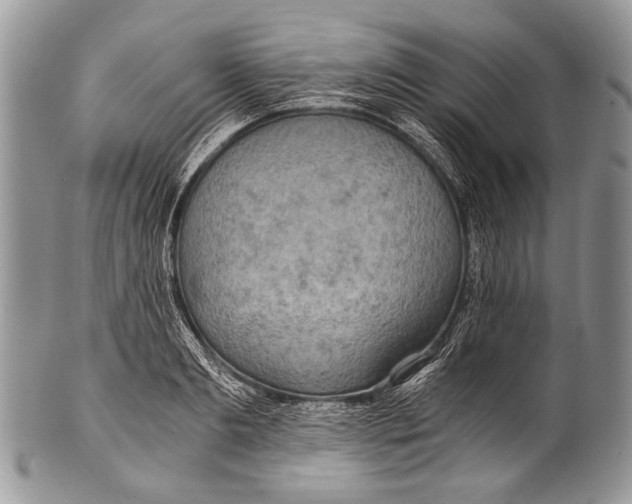 X0000100400893200806201733