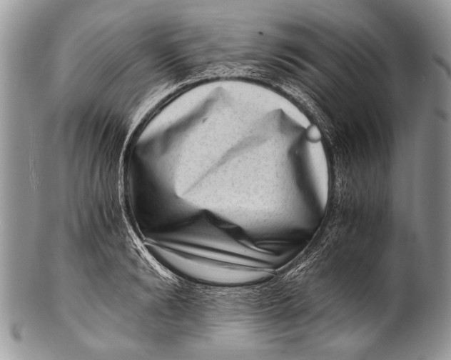 X0000100400894200806201733