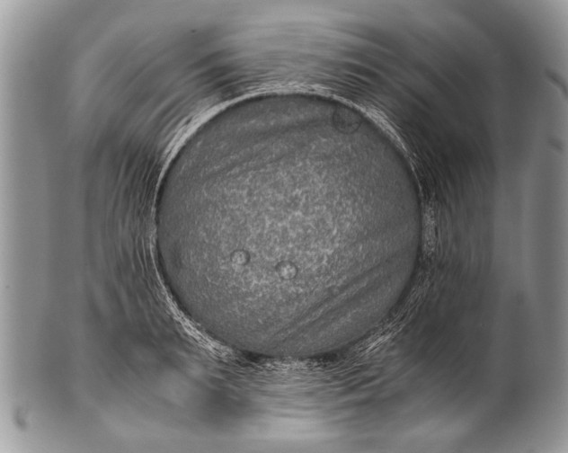X0000100400895200806201733