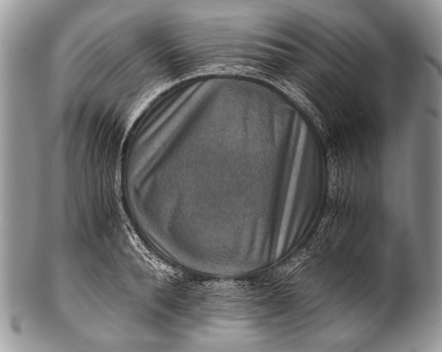 X0000100400896200806201733
