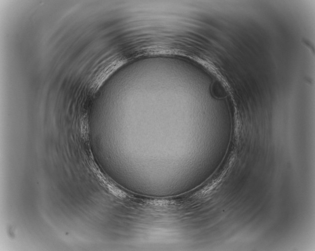 X0000100400897200806201733