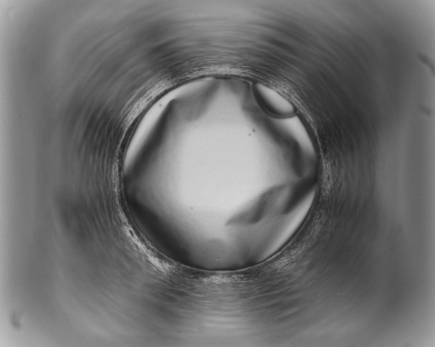 X0000100400898200806201733