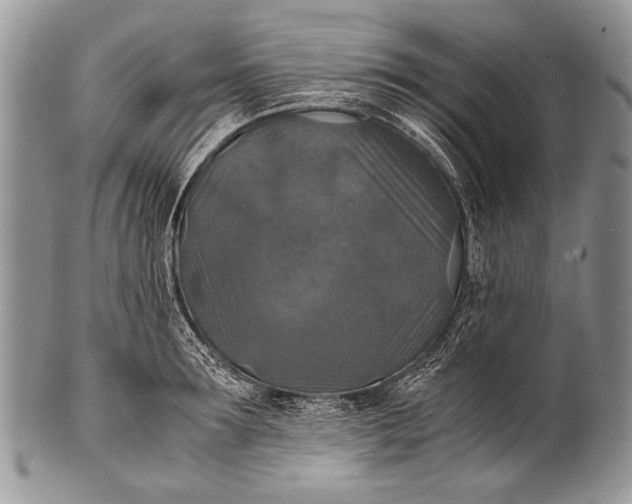 X0000100400899200806201733