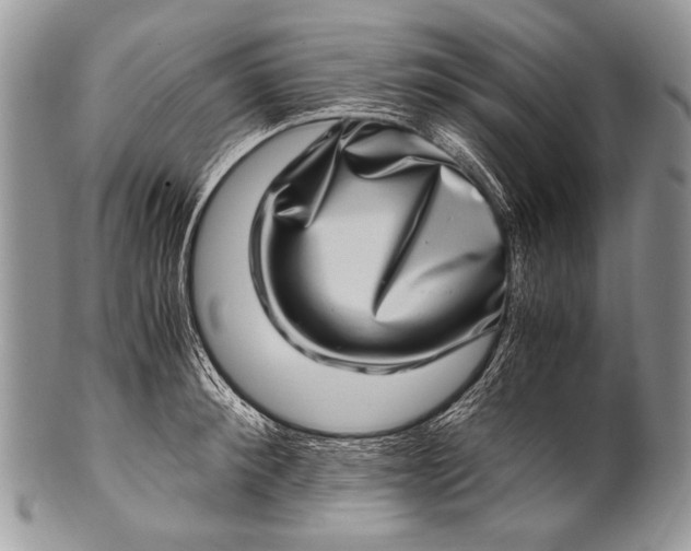 X0000100400900200806201733